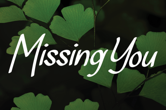 Missing You: A Refined Script Font for Digital Brand Moments