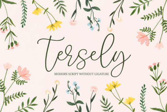 Tersely: A Modern Script Font That Elevates Your Brand